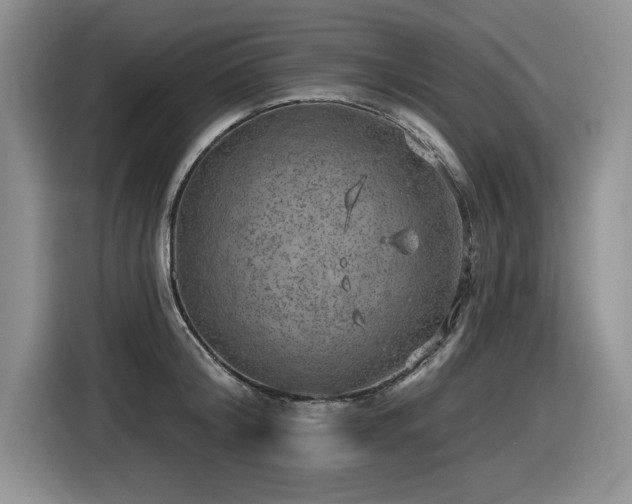 X0000116630804200912111216