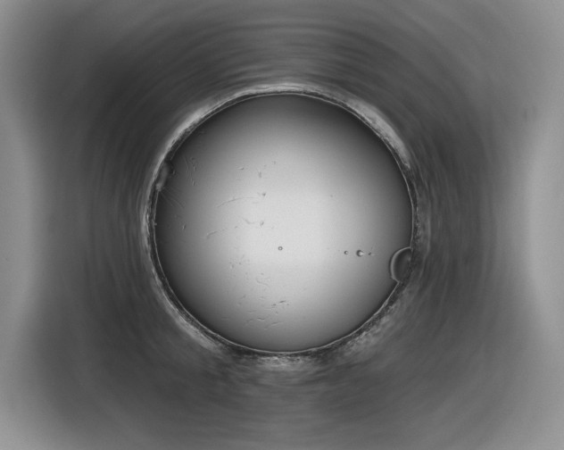 X0000116630805200912111216