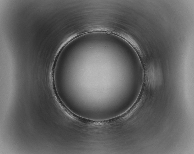 X0000116630806200912111216