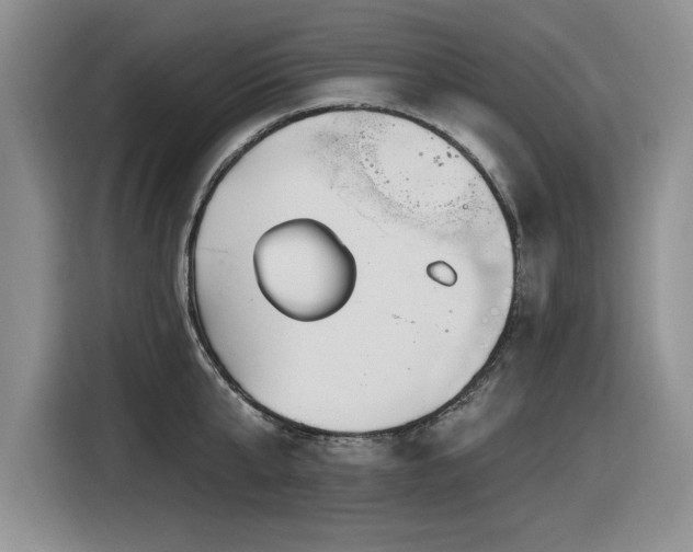 X0000116630807200912111216