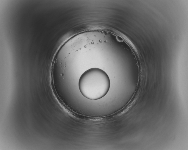 X0000116630810200912111215