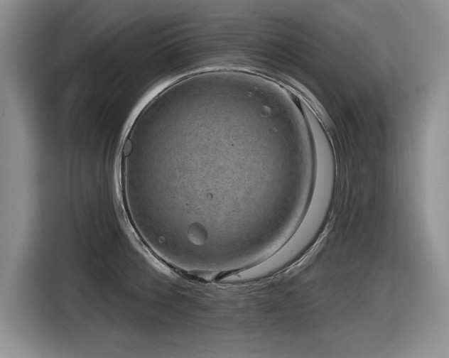 X0000116630812200912111215