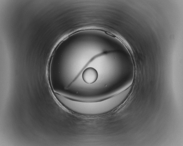 X0000116630813200912111215