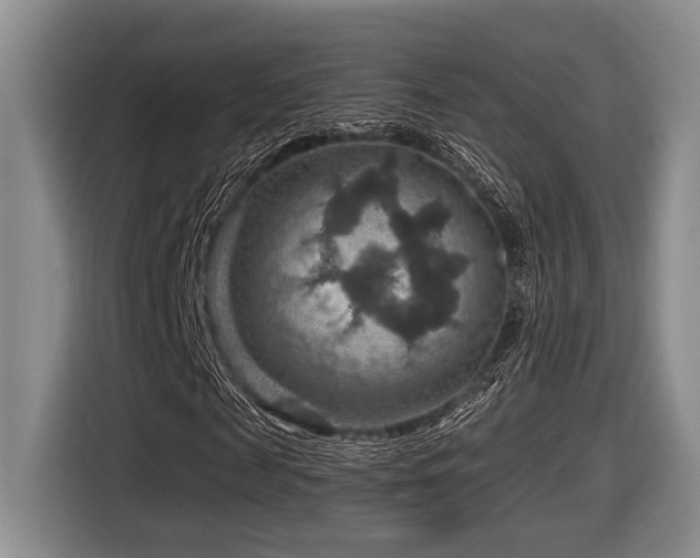 X0000116630817200912111215