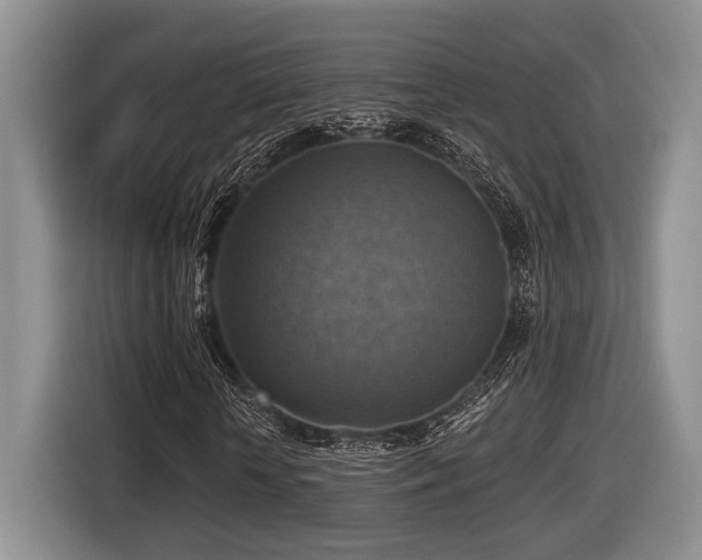 X0000116630818200912111215