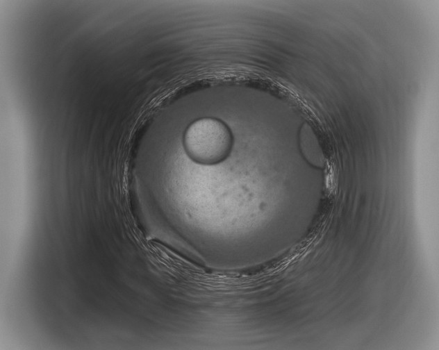 X0000116630819200912111215