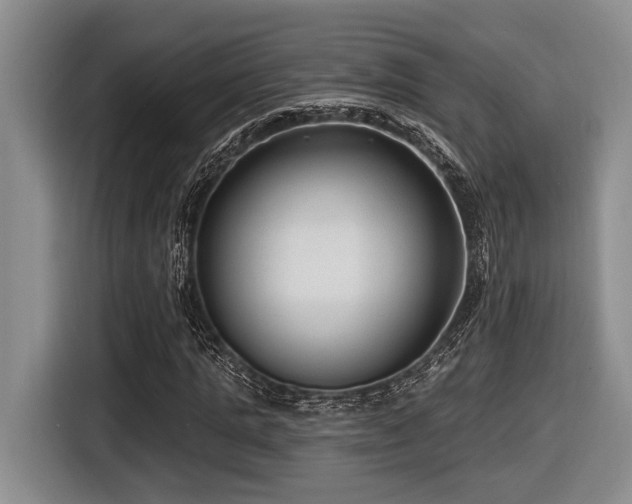 X0000116630821200912111215