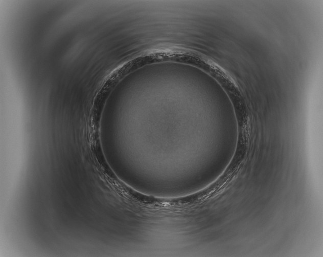 X0000116630822200912111215