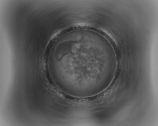 X0000116630823200912111215