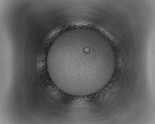 X0000116630824200912111215