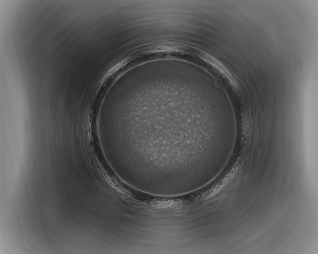 X0000116630826200912111215