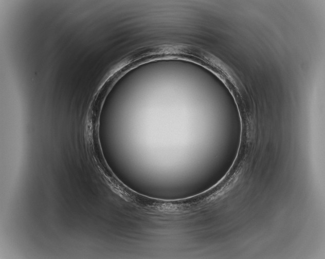 X0000116630827200912111215