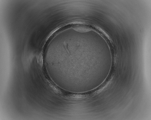 X0000116630829200912111215