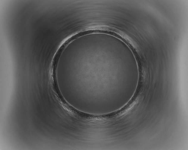 X0000116630830200912111215