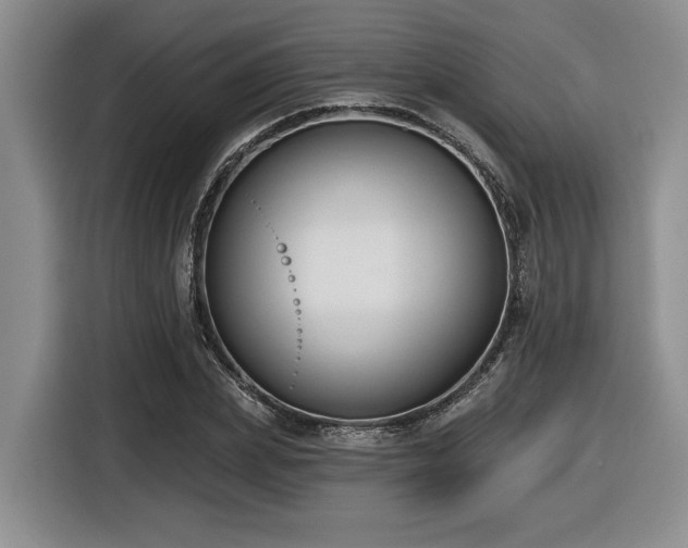 X0000116630831200912111215