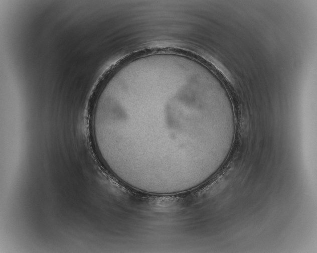 X0000116630832200912111215