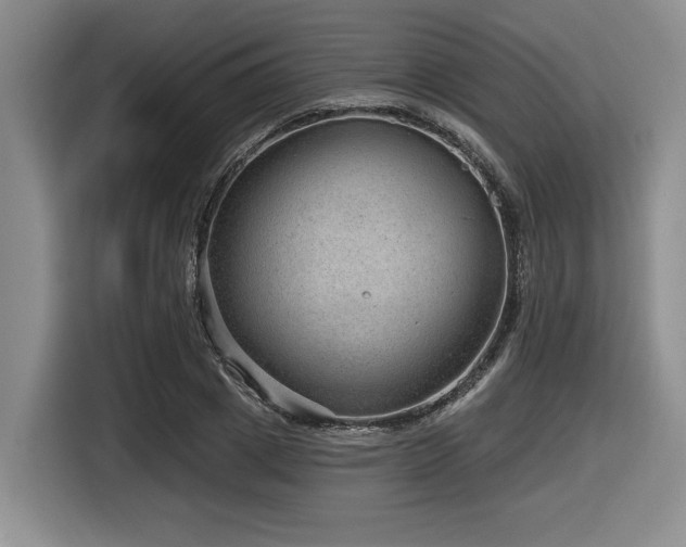 X0000116630833200912111215