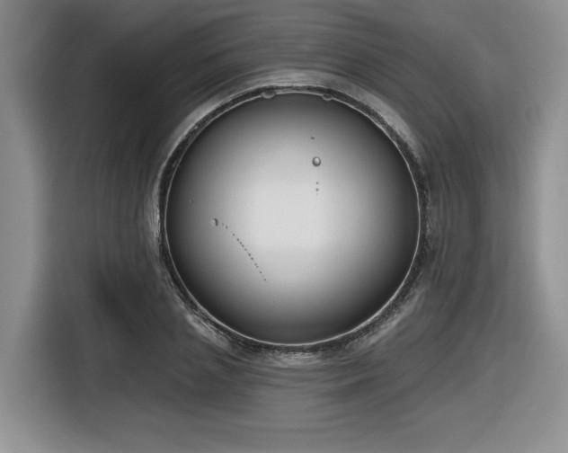 X0000116630837200912111215