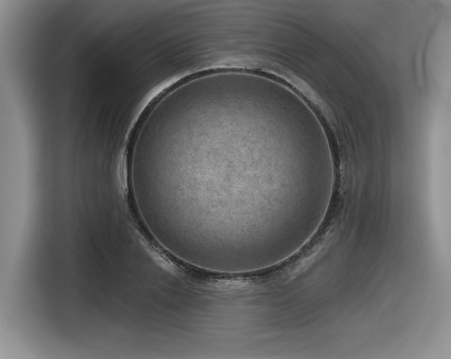 X0000116630838200912111215