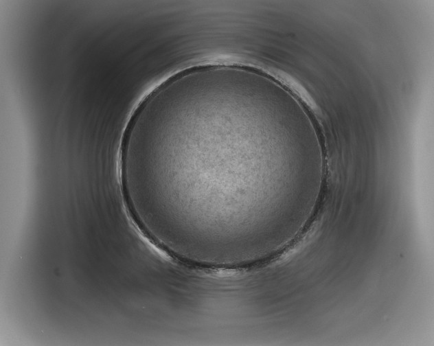 X0000116630839200912111215