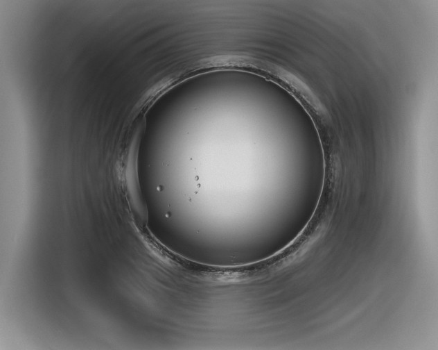 X0000116630841200912111215