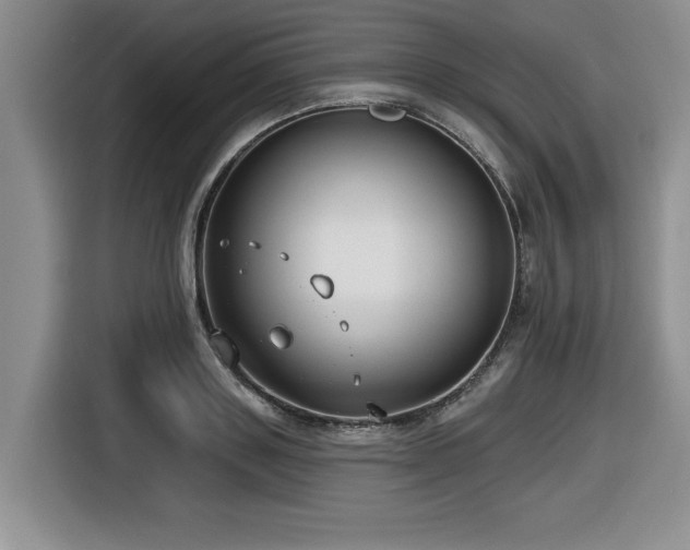 X0000116630843200912111215