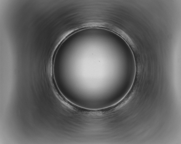 X0000116630844200912111215