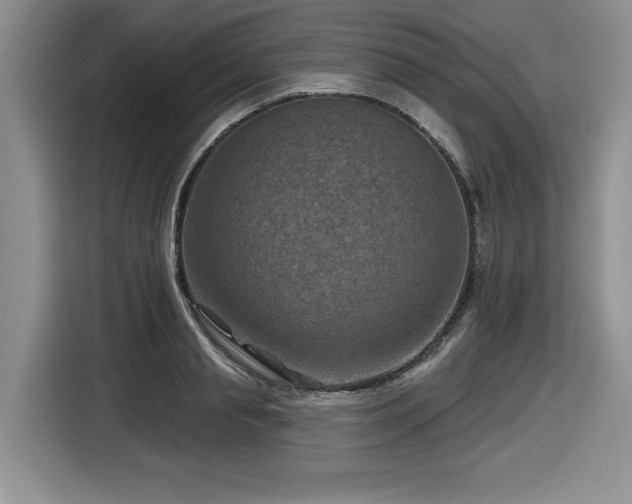 X0000116630845200912111215