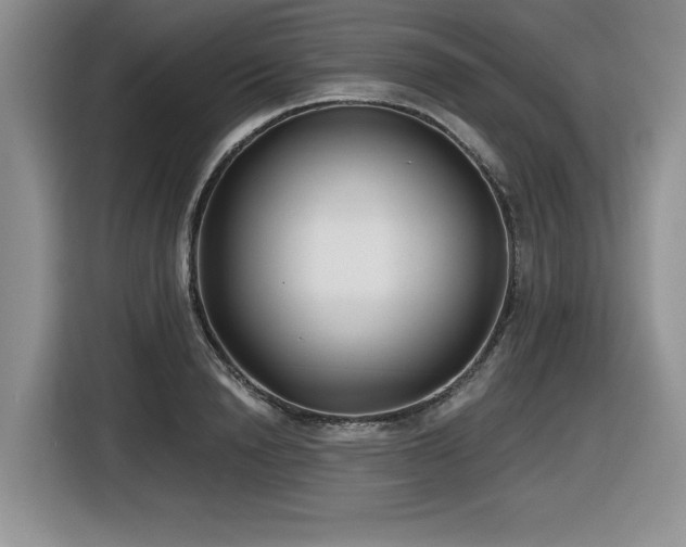 X0000116630846200912111215