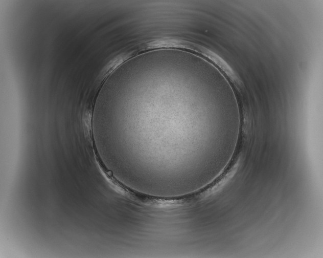 X0000116630849200912111215