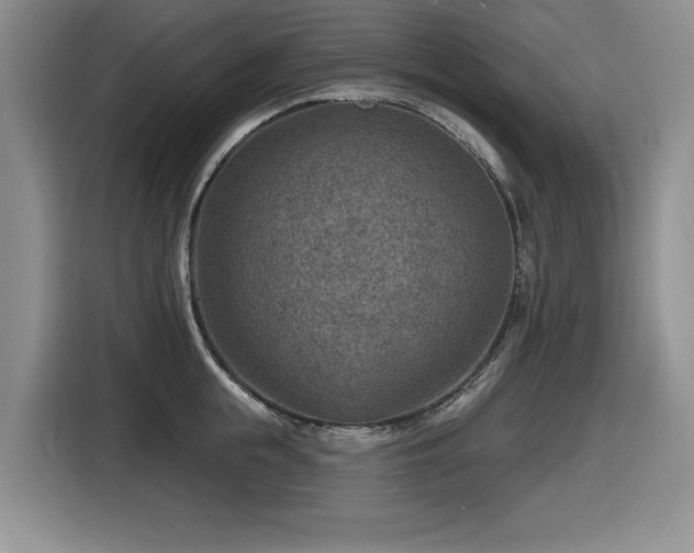 X0000116630855200912111215