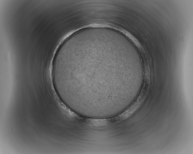 X0000116630856200912111215