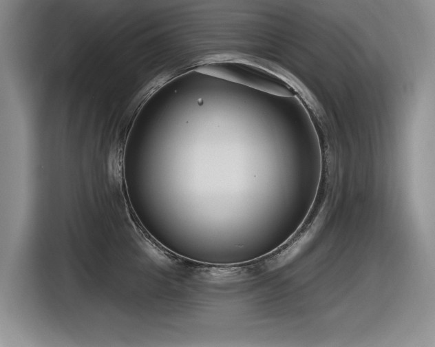 X0000116630857200912111215