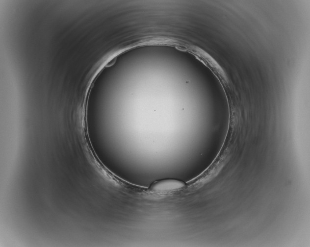 X0000116630860200912111215