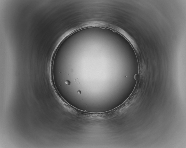 X0000116630861200912111215