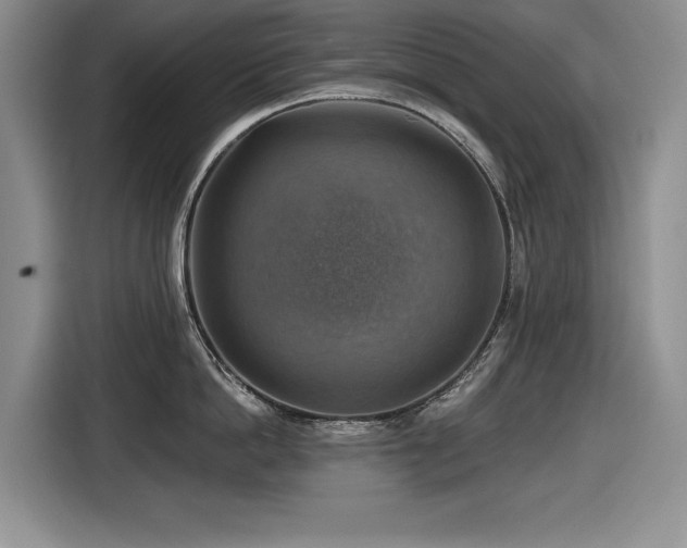 X0000116630862200912111215