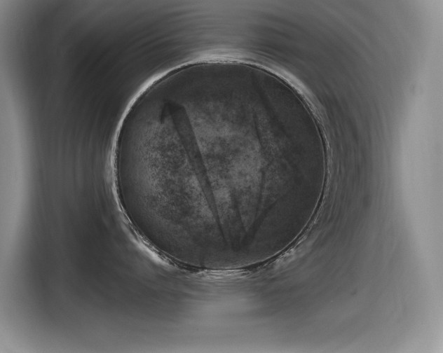 X0000116630864200912111215