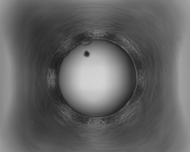 X0000116630866200912111215