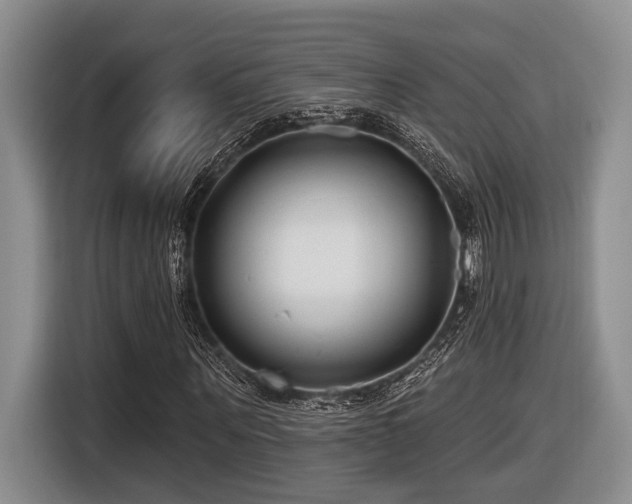 X0000116630867200912111215