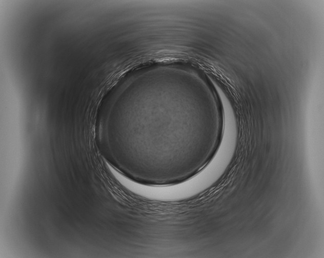 X0000116630868200912111215