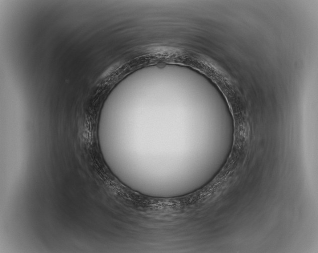 X0000116630869200912111215