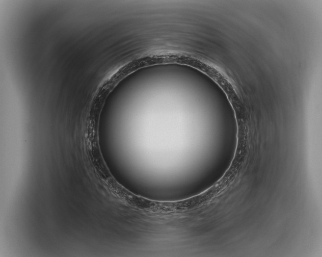 X0000116630871200912111215