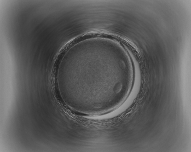 X0000116630872200912111215