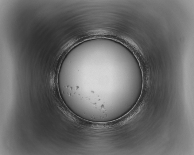 X0000116630873200912111215