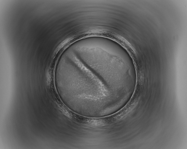 X0000116630874200912111215