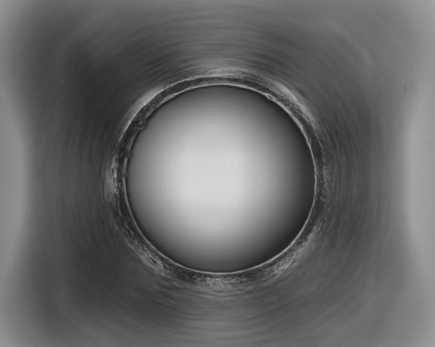 X0000116630875200912111215