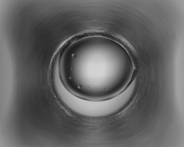 X0000116630878200912111215