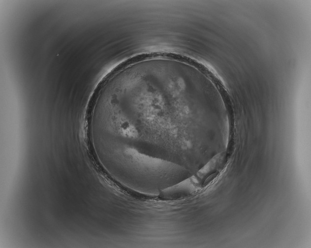 X0000116630879200912111215