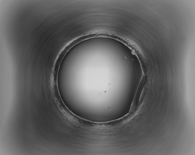 X0000116630880200912111215