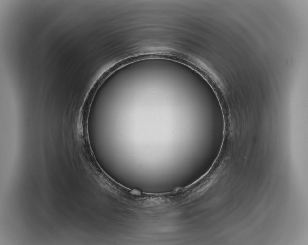 X0000116630883200912111215